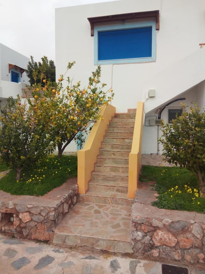 Alkioni Sea View Apartment Káto Zákros Exterior foto